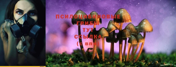 гидра Алексин