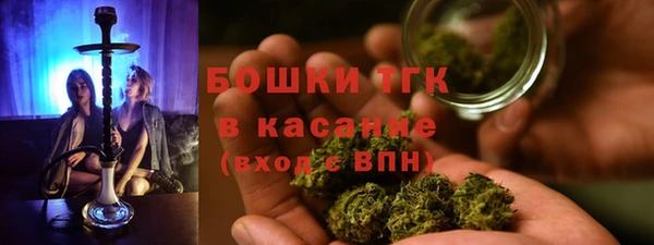 гидра Алексин