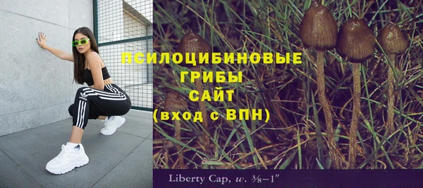 гидра Алексин
