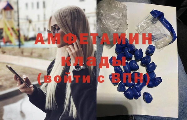 ГАЛЛЮЦИНОГЕННЫЕ ГРИБЫ Алзамай